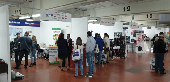 MARKET VISION REVISTA - 236